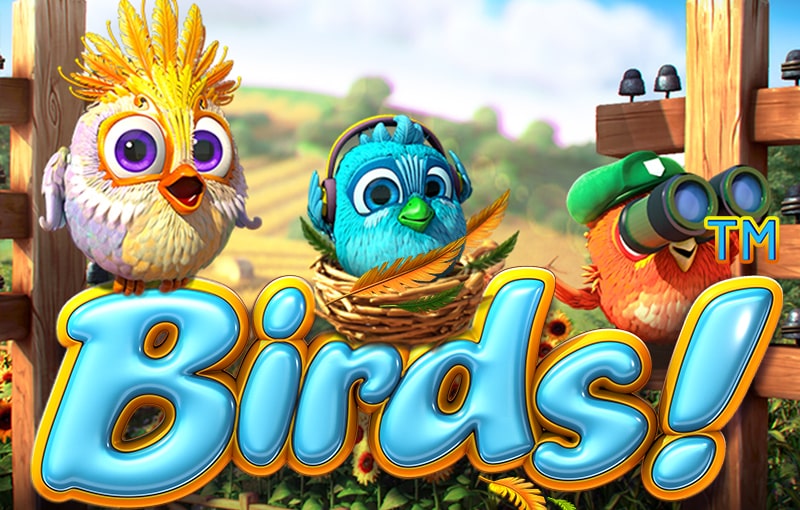 birds