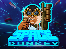 Space Donkey