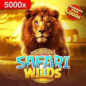 Safari Wilds