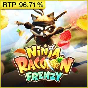 นินจา แร็คคูน