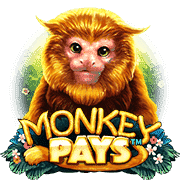 MONKEYPAYS